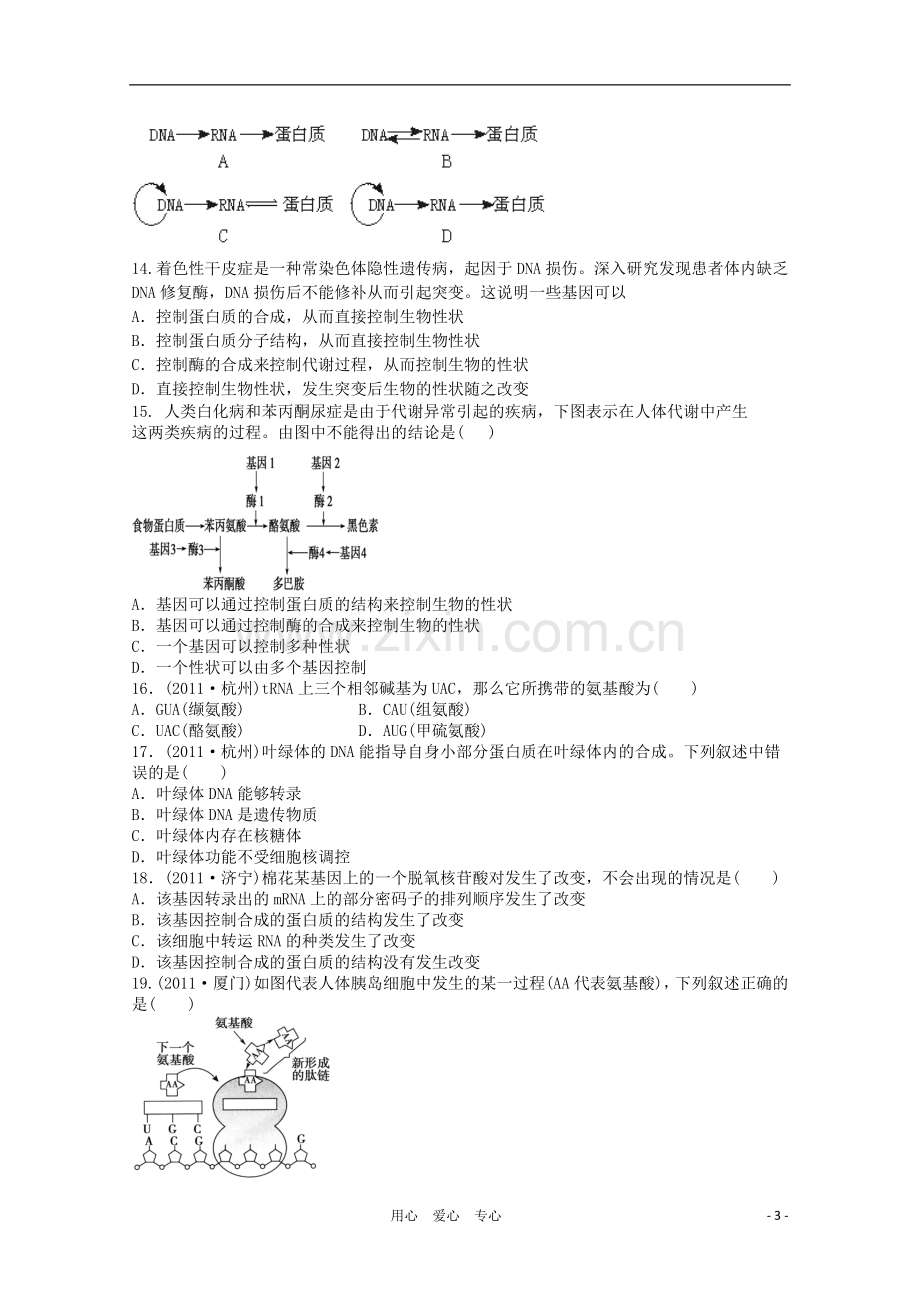 天津市2012届高三生物-《基因的表达》单元测试10-新人教版必修2.doc_第3页