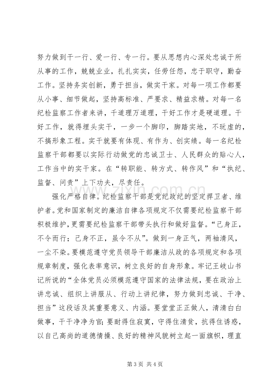 做纪检监察干部的心得体会.docx_第3页