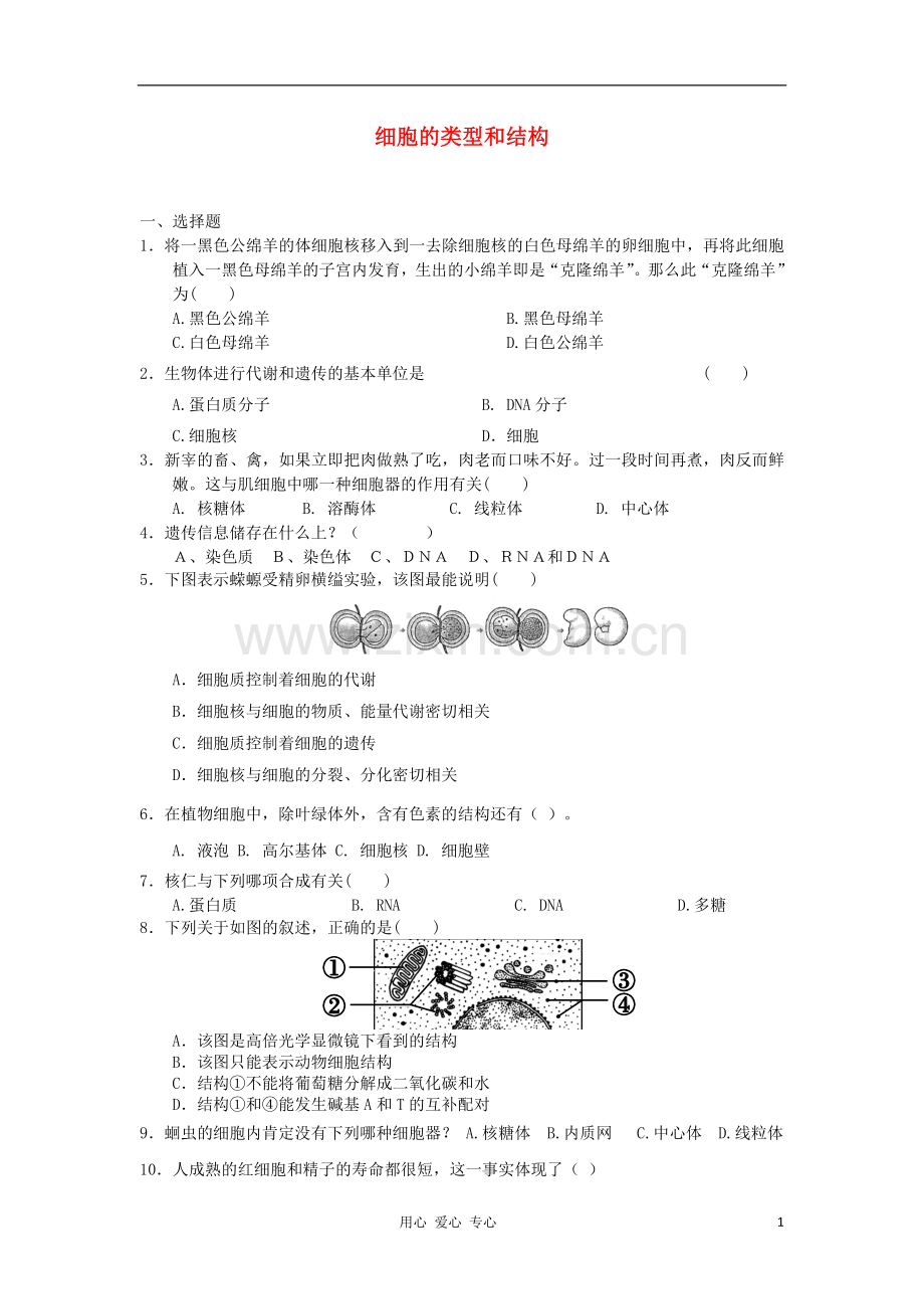 高中生物-3.2-细胞的类型和结构每课一练28-苏教版必修1-.doc_第1页