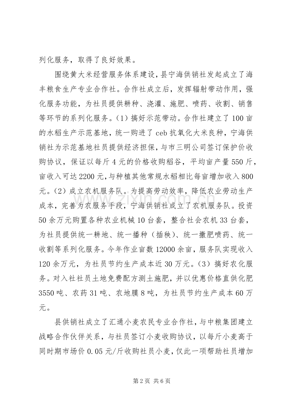 20XX年市党委副主任工作述职报告范文.docx_第2页