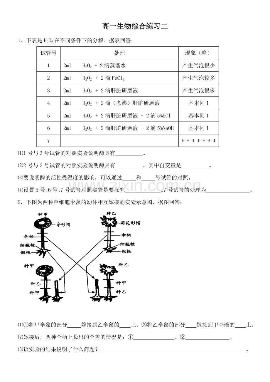 高一生物综合练习二.doc_第1页