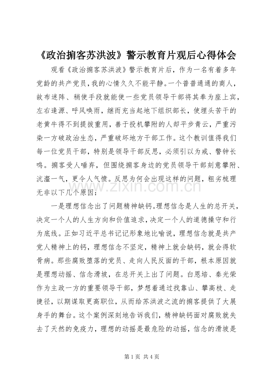 《政治掮客苏洪波》警示教育片观后心得体会.docx_第1页