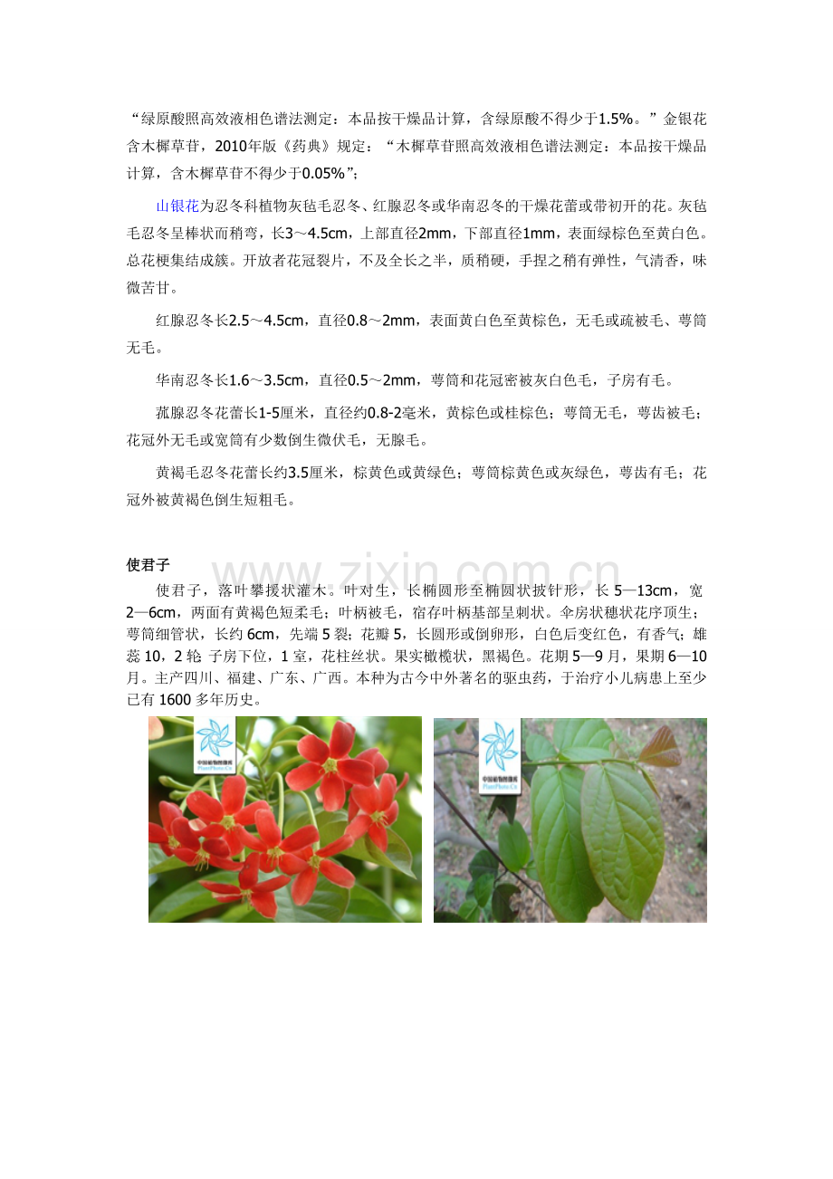 深圳常见绿化植物.doc_第3页