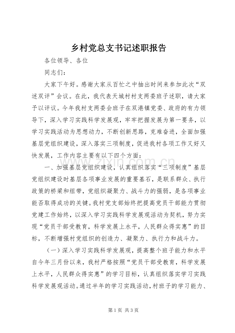 乡村党总支书记述职报告.docx_第1页