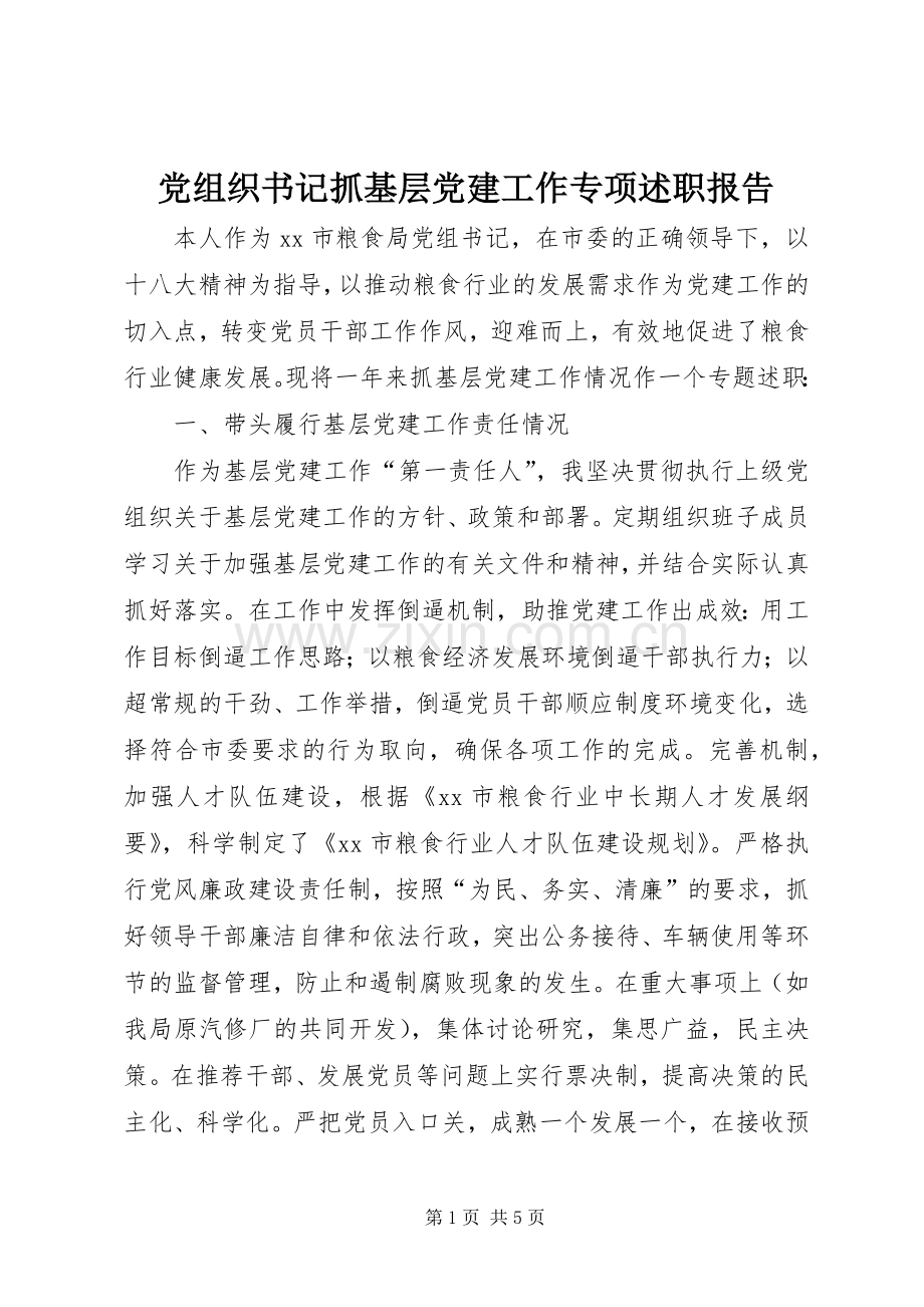 党组织书记抓基层党建工作专项述职报告.docx_第1页