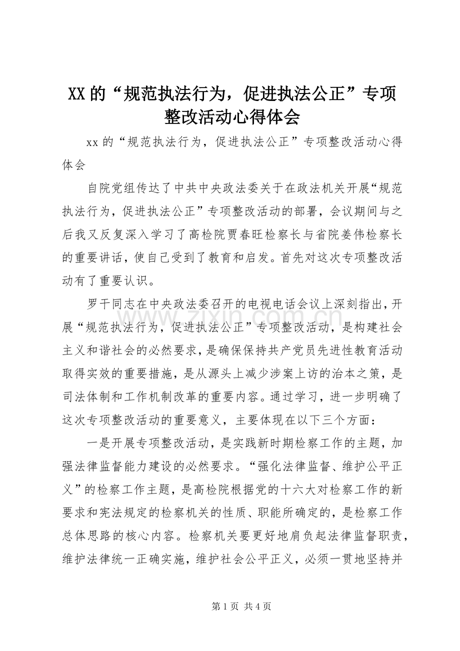 XX的“规范执法行为促进执法公正”专项整改活动心得体会.docx_第1页