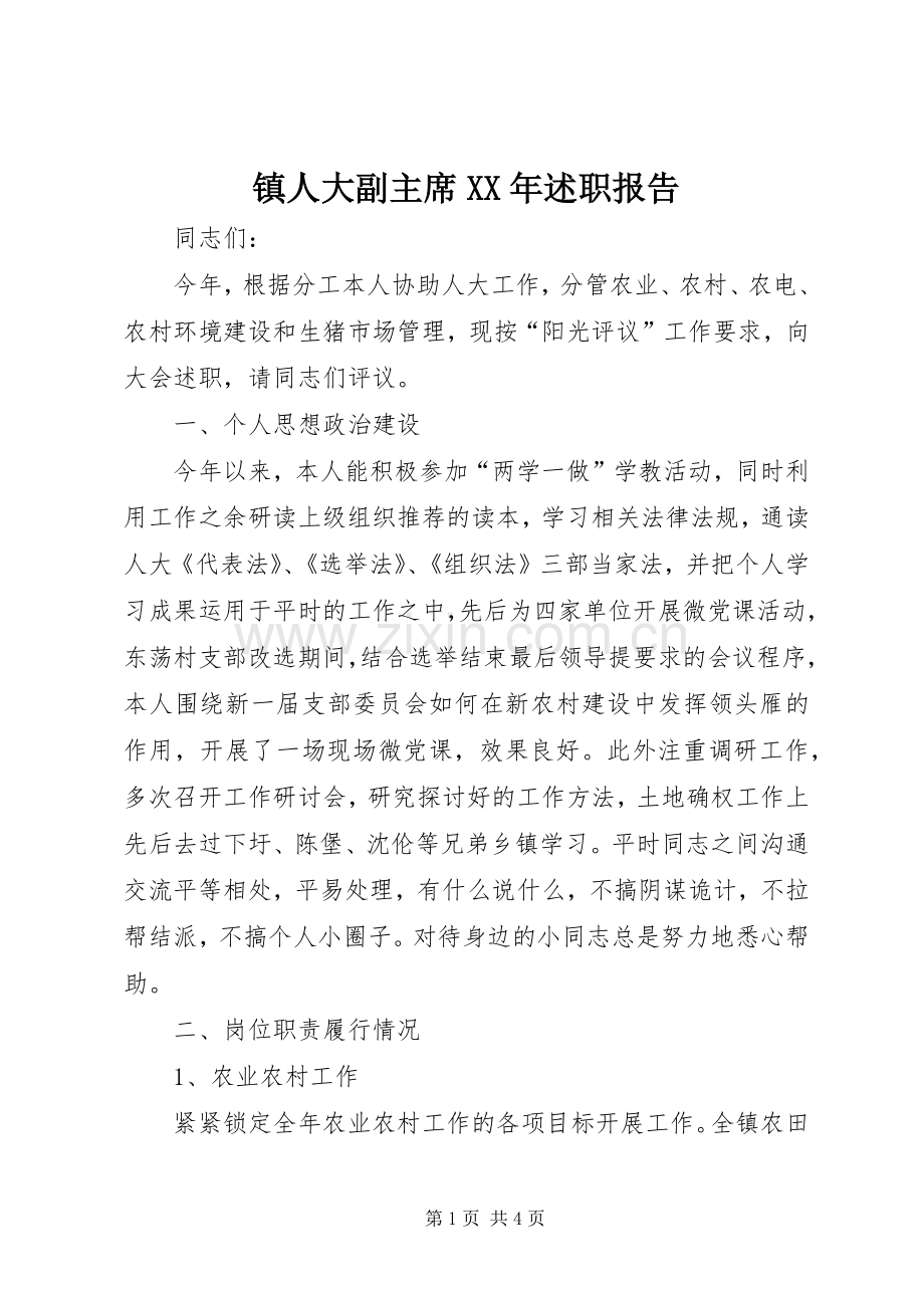 镇人大副主席XX年述职报告.docx_第1页