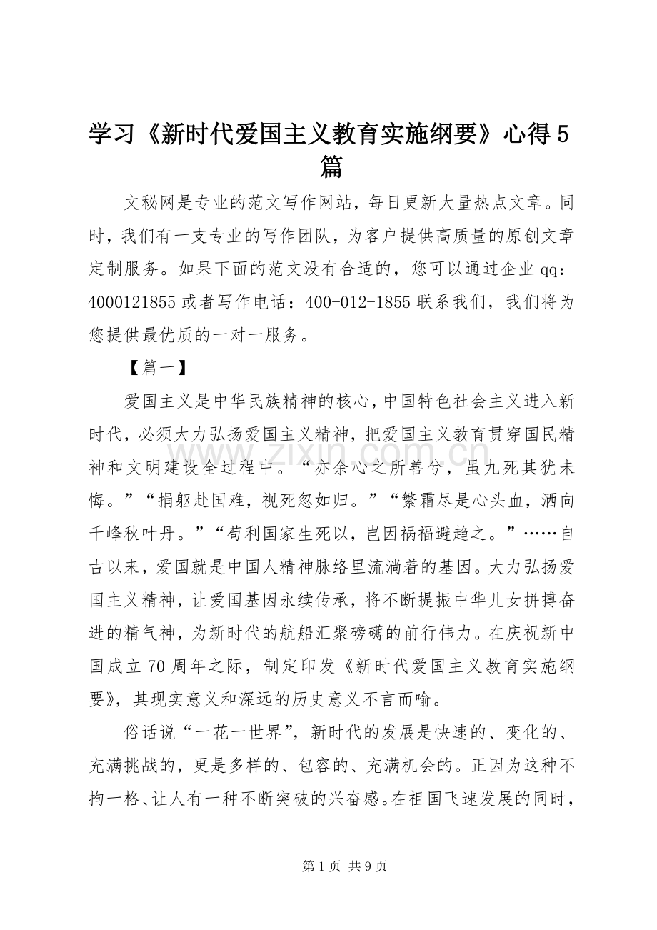 学习《新时代爱国主义教育实施纲要》心得5篇.docx_第1页