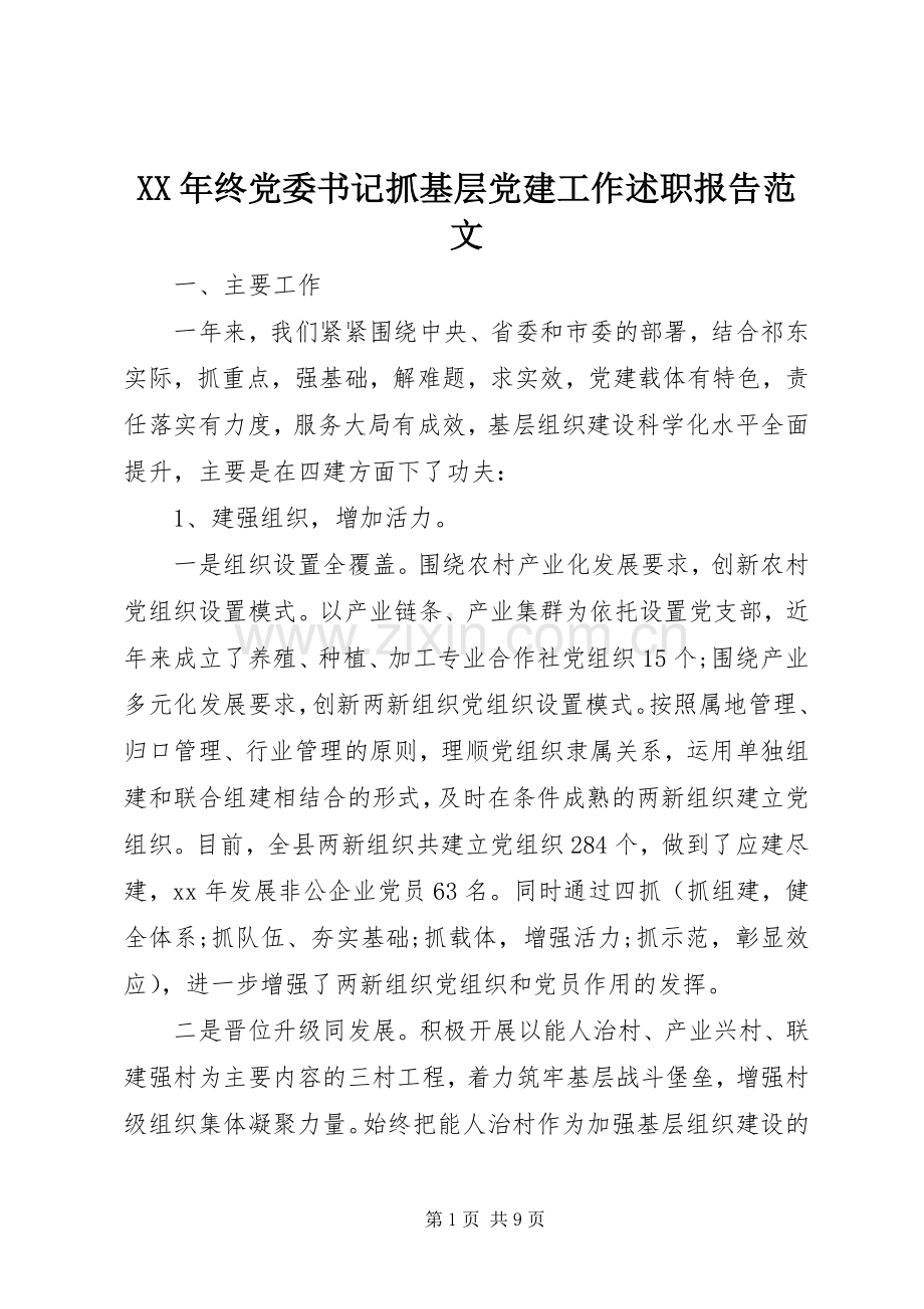 XX年终党委书记抓基层党建工作述职报告范文.docx_第1页