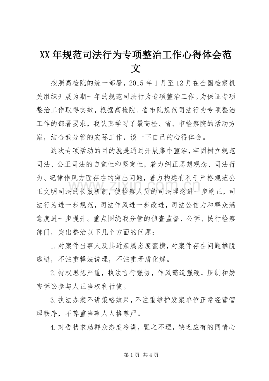 XX年规范司法行为专项整治工作心得体会范文.docx_第1页