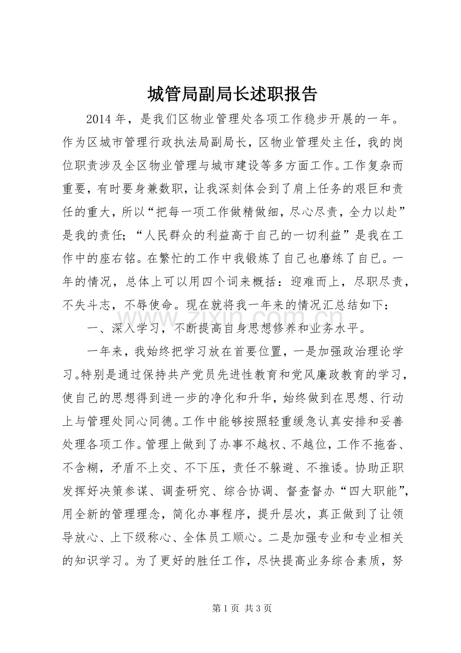 城管局副局长述职报告.docx_第1页