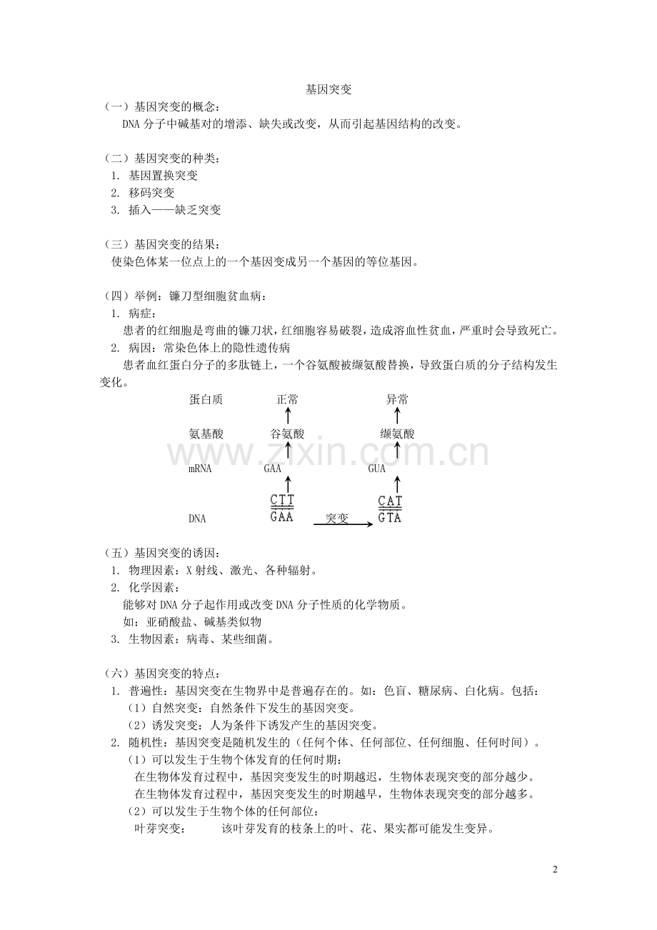 高中生物《基因突变和基因重组》学案4-新人教版必修2.doc_第2页