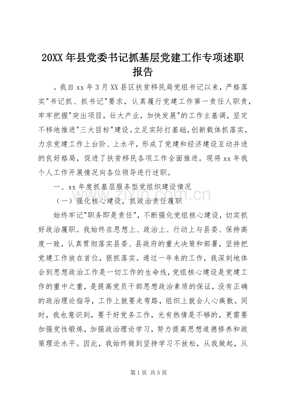 20XX年县党委书记抓基层党建工作专项述职报告.docx_第1页