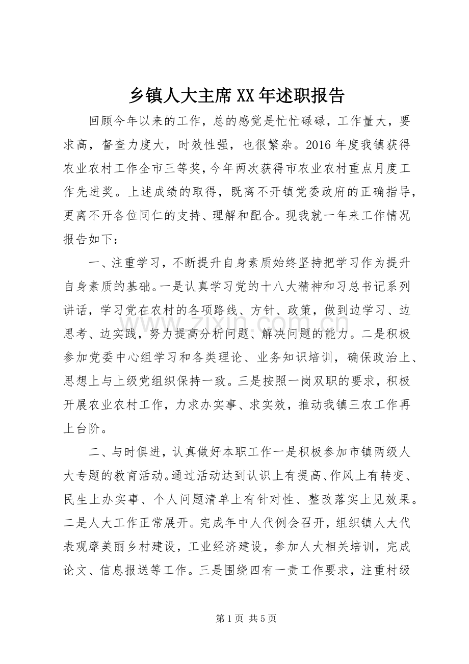 乡镇人大主席XX年述职报告.docx_第1页