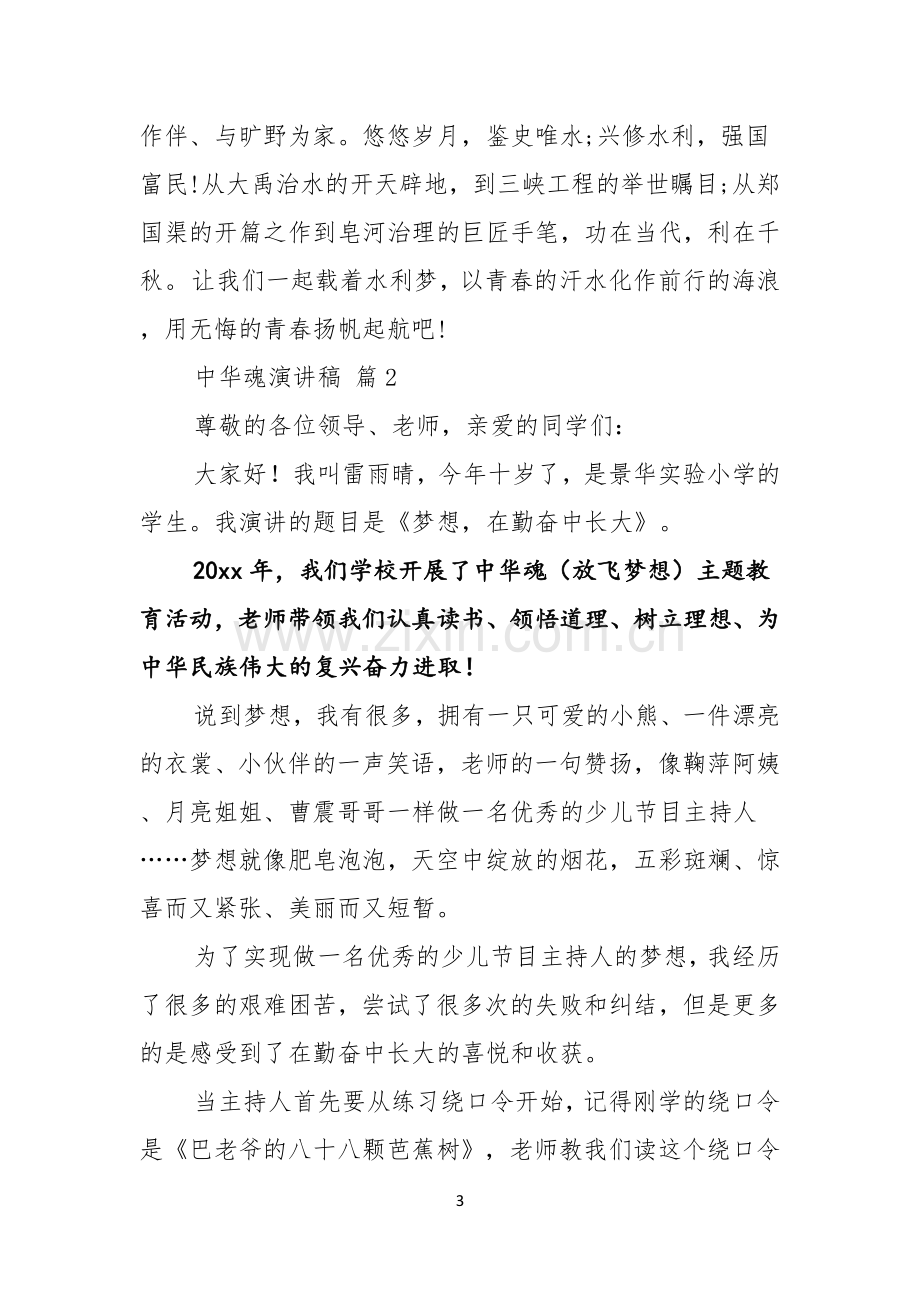 关于中华魂演讲稿六篇.docx_第3页