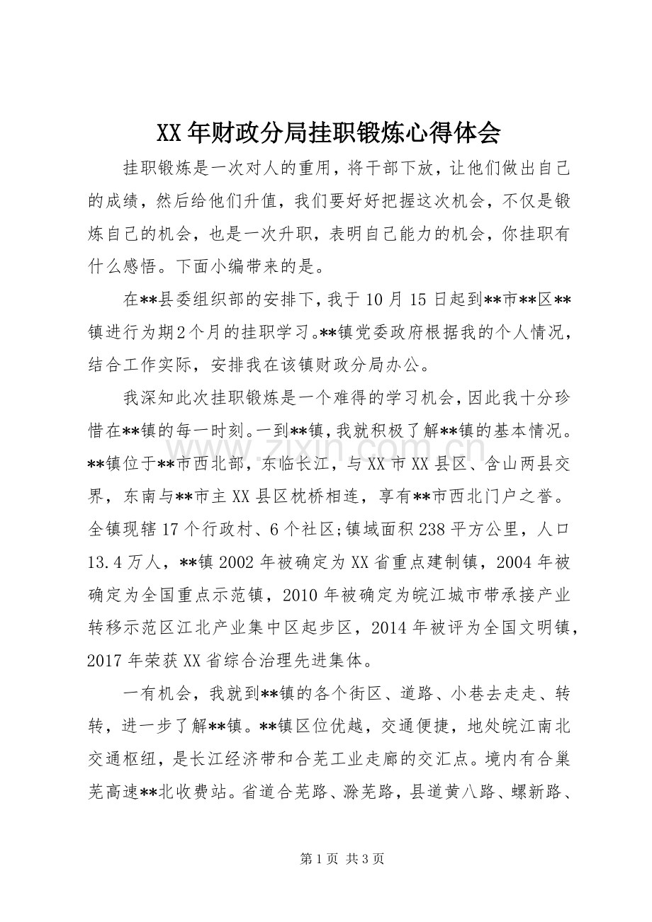 XX年财政分局挂职锻炼心得体会.docx_第1页