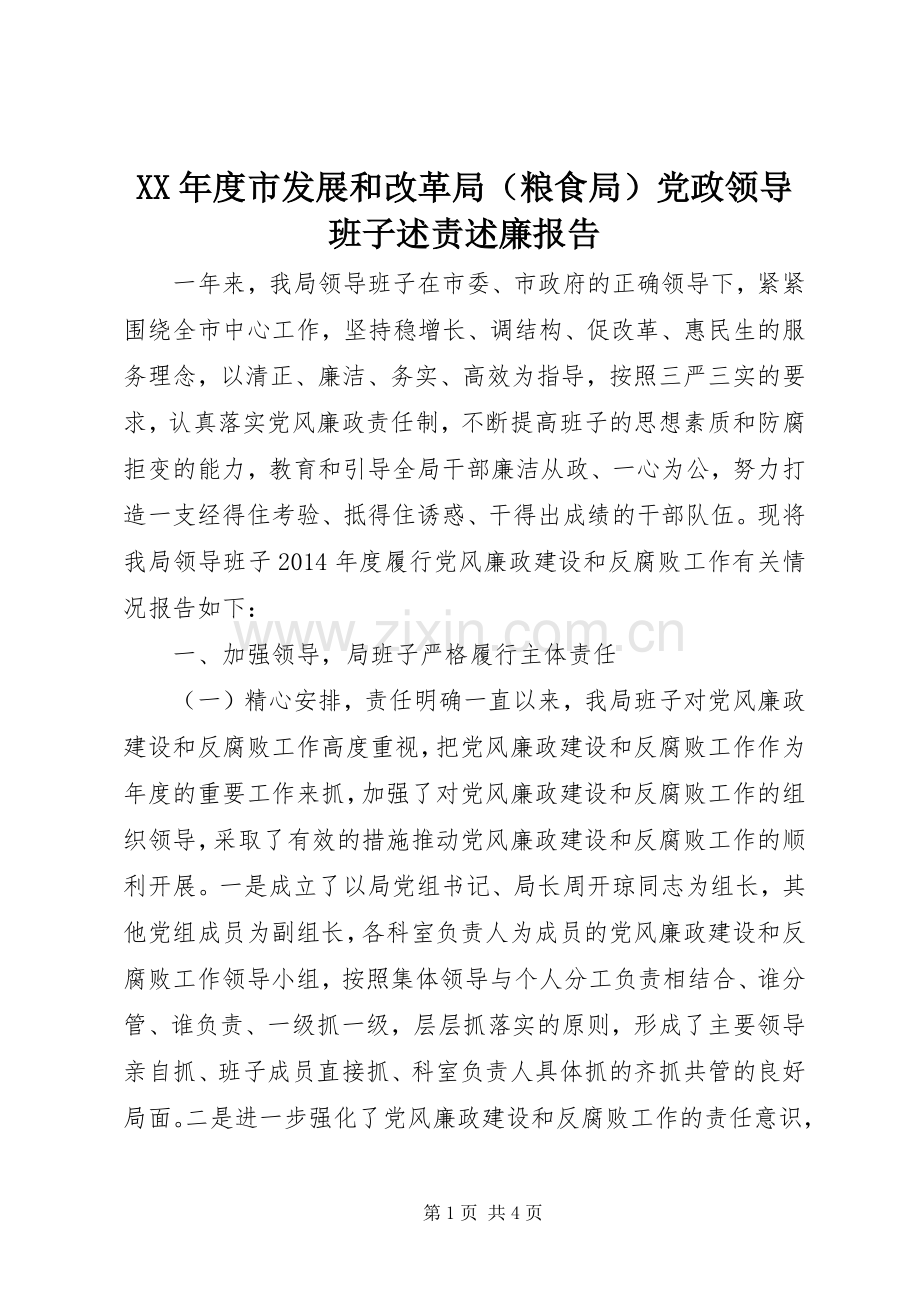 XX年度市发展和改革局（粮食局）党政领导班子述责述廉报告.docx_第1页