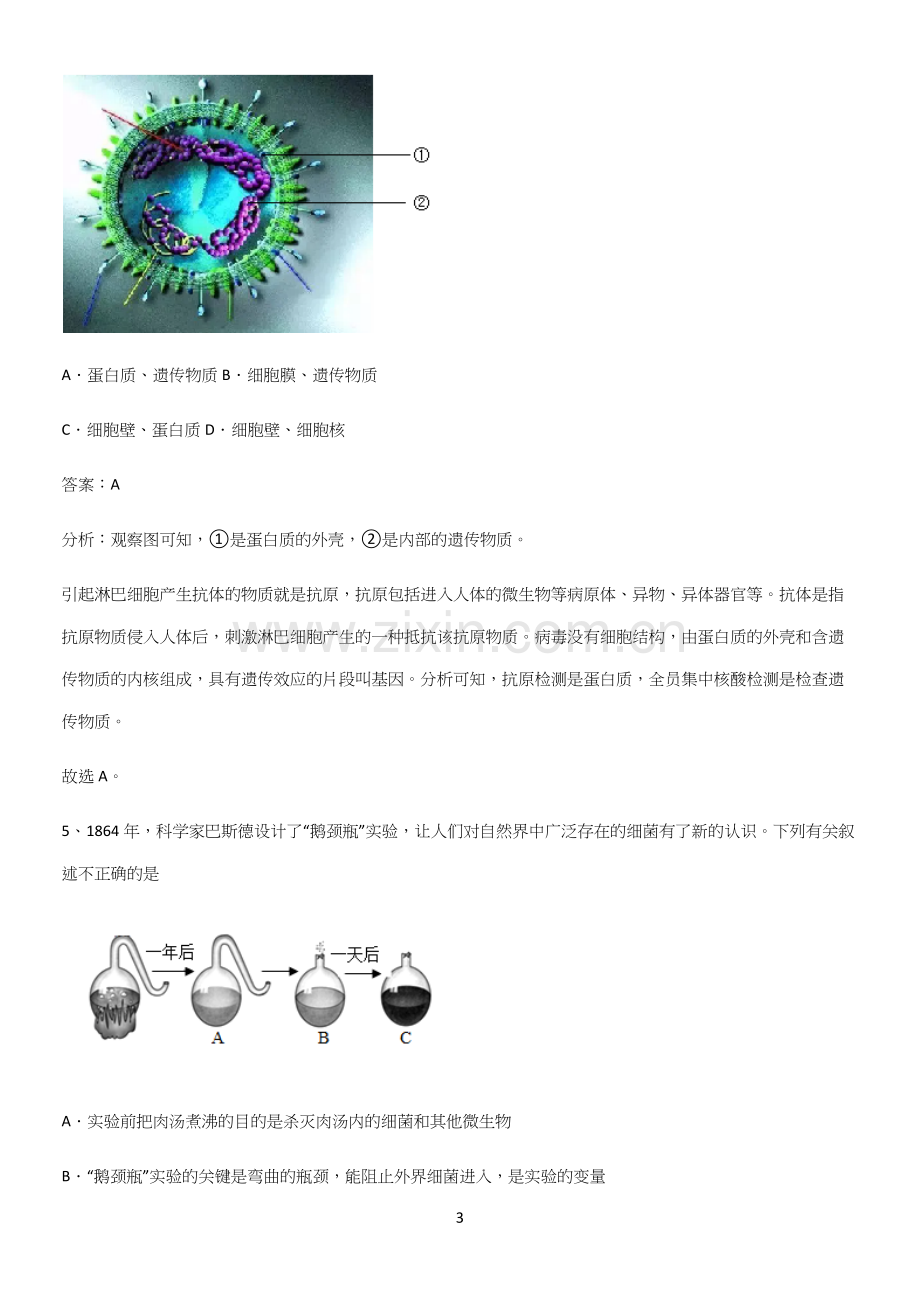 通用版初中生物八年级上册第五单元生物圈中的其他生物必练题总结-(2).docx_第3页