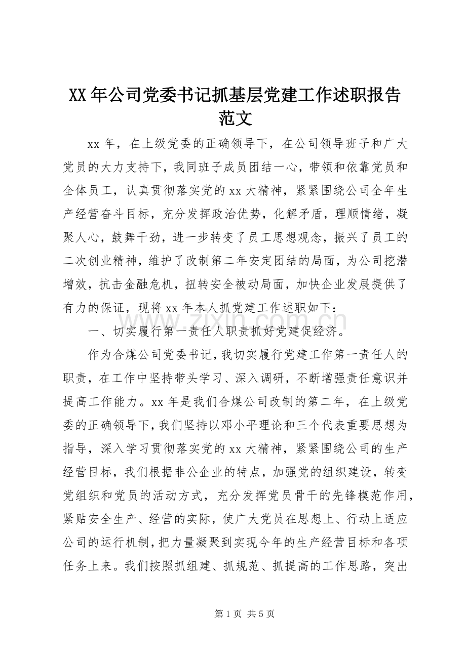 XX年公司党委书记抓基层党建工作述职报告范文.docx_第1页