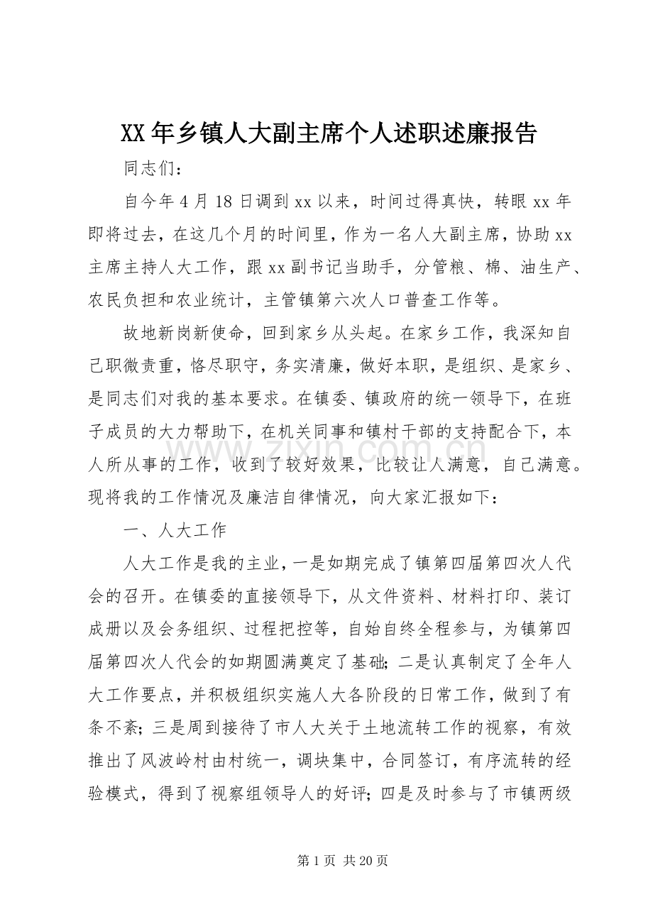 XX年乡镇人大副主席个人述职述廉报告.docx_第1页