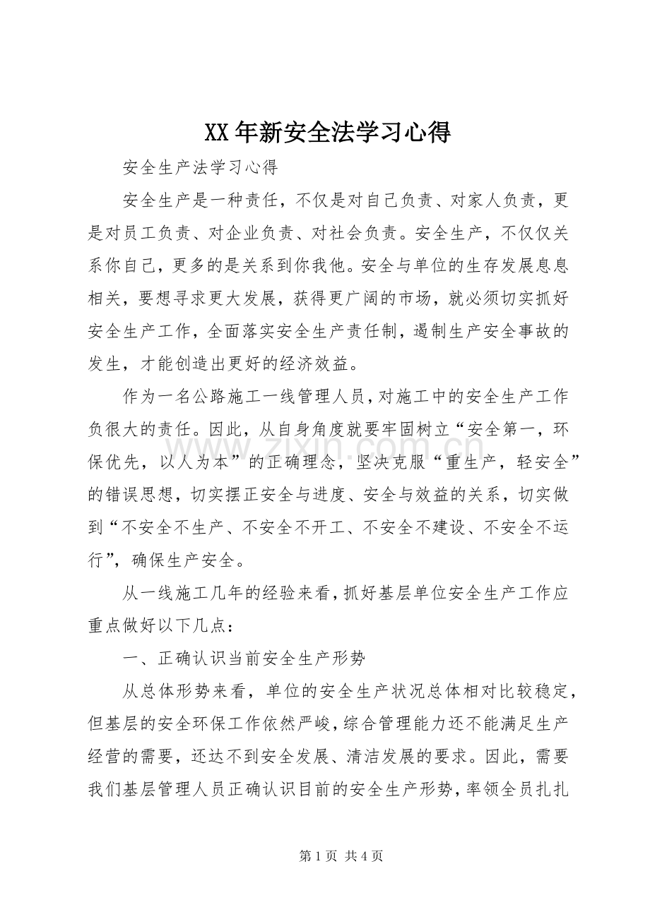 XX年新安全法学习心得.docx_第1页