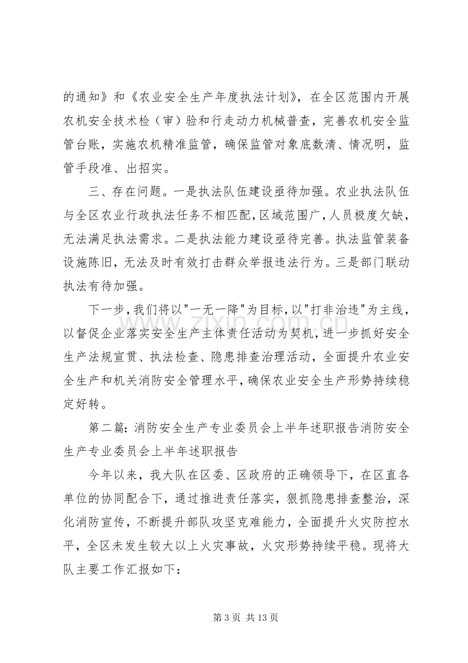 农业安全生产专业委员会上半年述职报告.docx_第3页