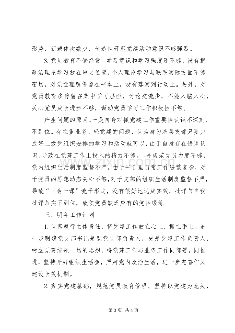 党建主体责任落实情况述职报告.docx_第3页