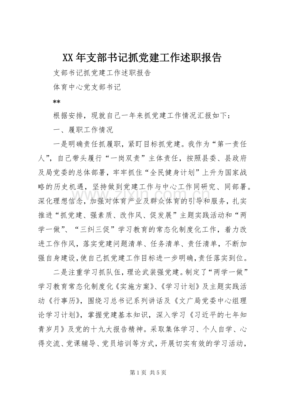 XX年支部书记抓党建工作述职报告.docx_第1页