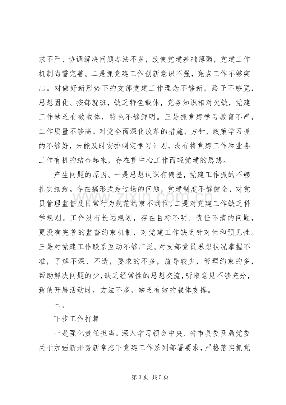 XX年支部书记抓党建工作述职报告.docx_第3页