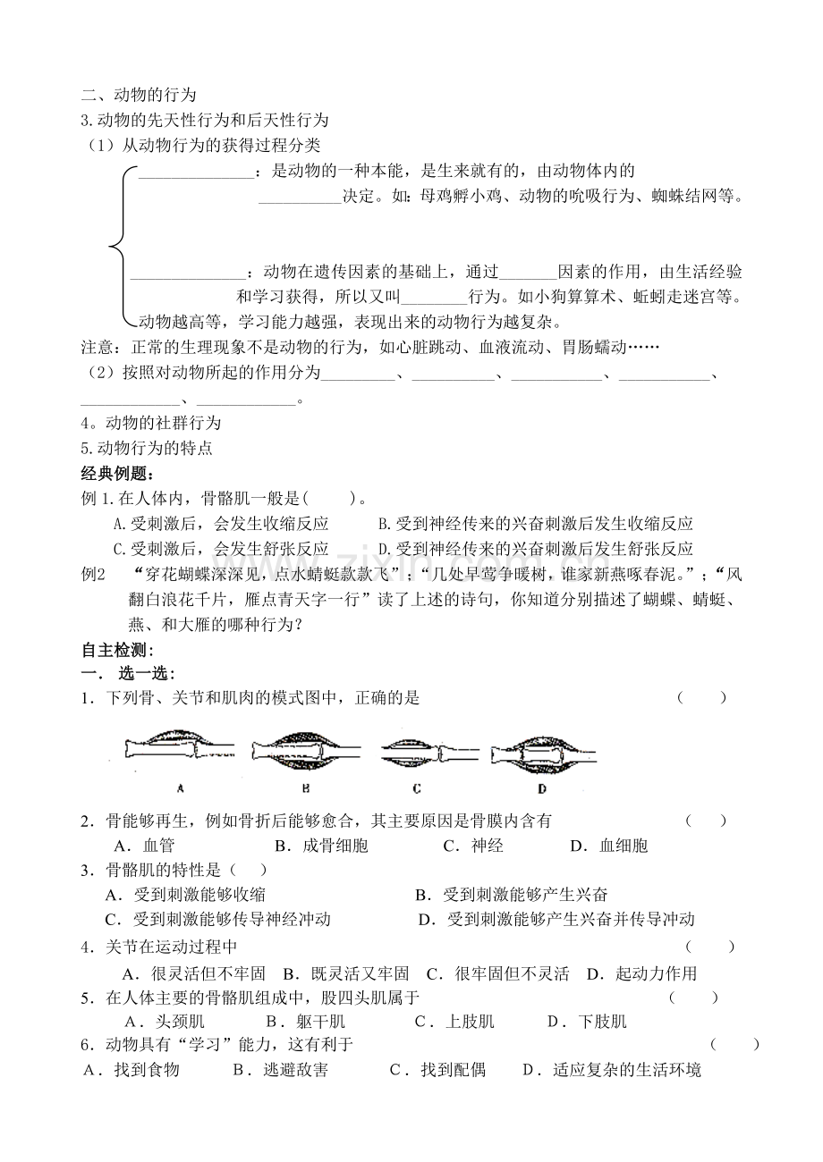 题六、动物的运动和行为.doc_第3页