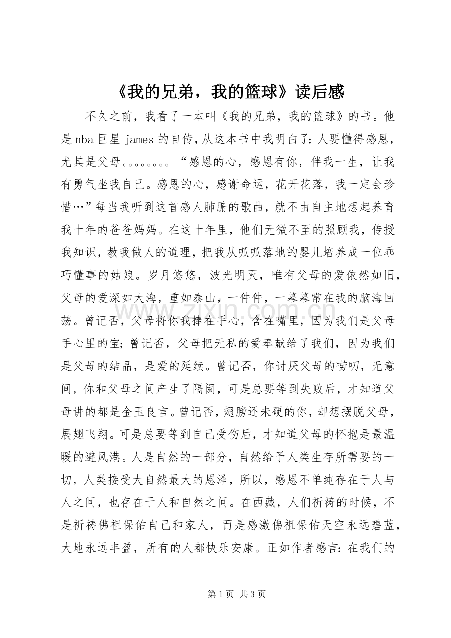 《我的兄弟我的篮球》读后感.docx_第1页