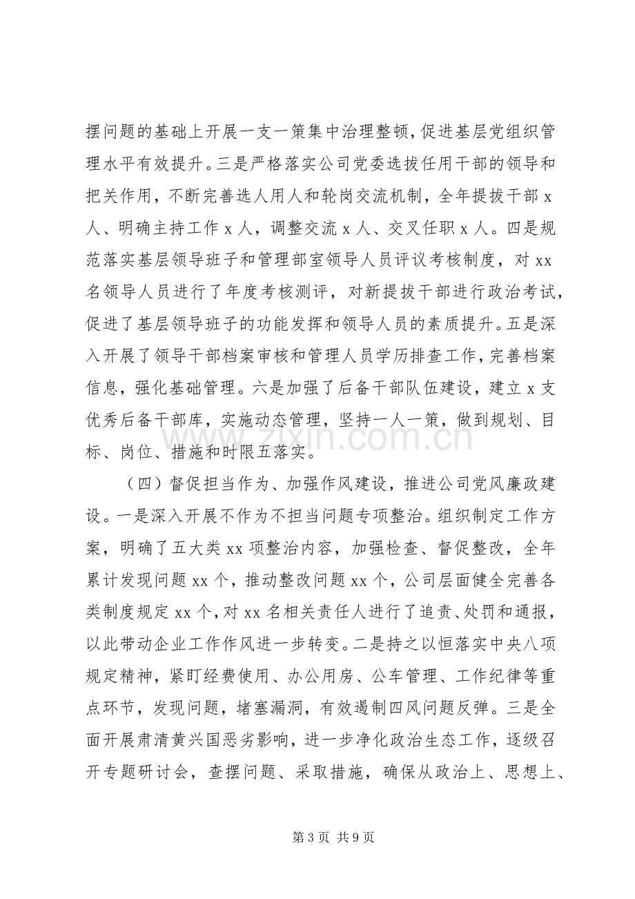 国企党委书记XX年述职述廉报告.docx_第3页