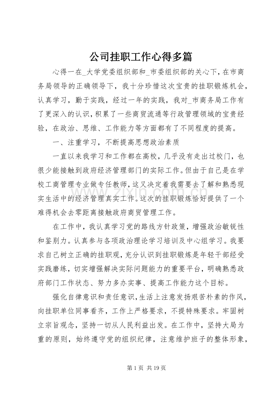 公司挂职工作心得多篇.docx_第1页