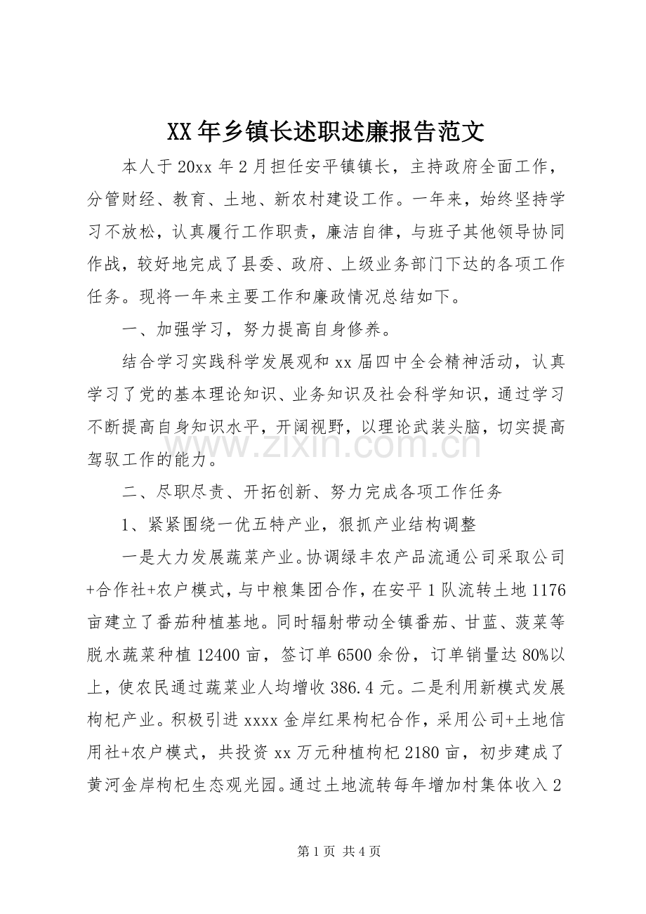 XX年乡镇长述职述廉报告范文.docx_第1页