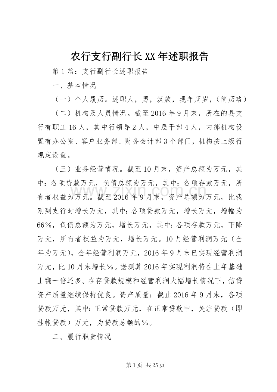 农行支行副行长XX年述职报告.docx_第1页