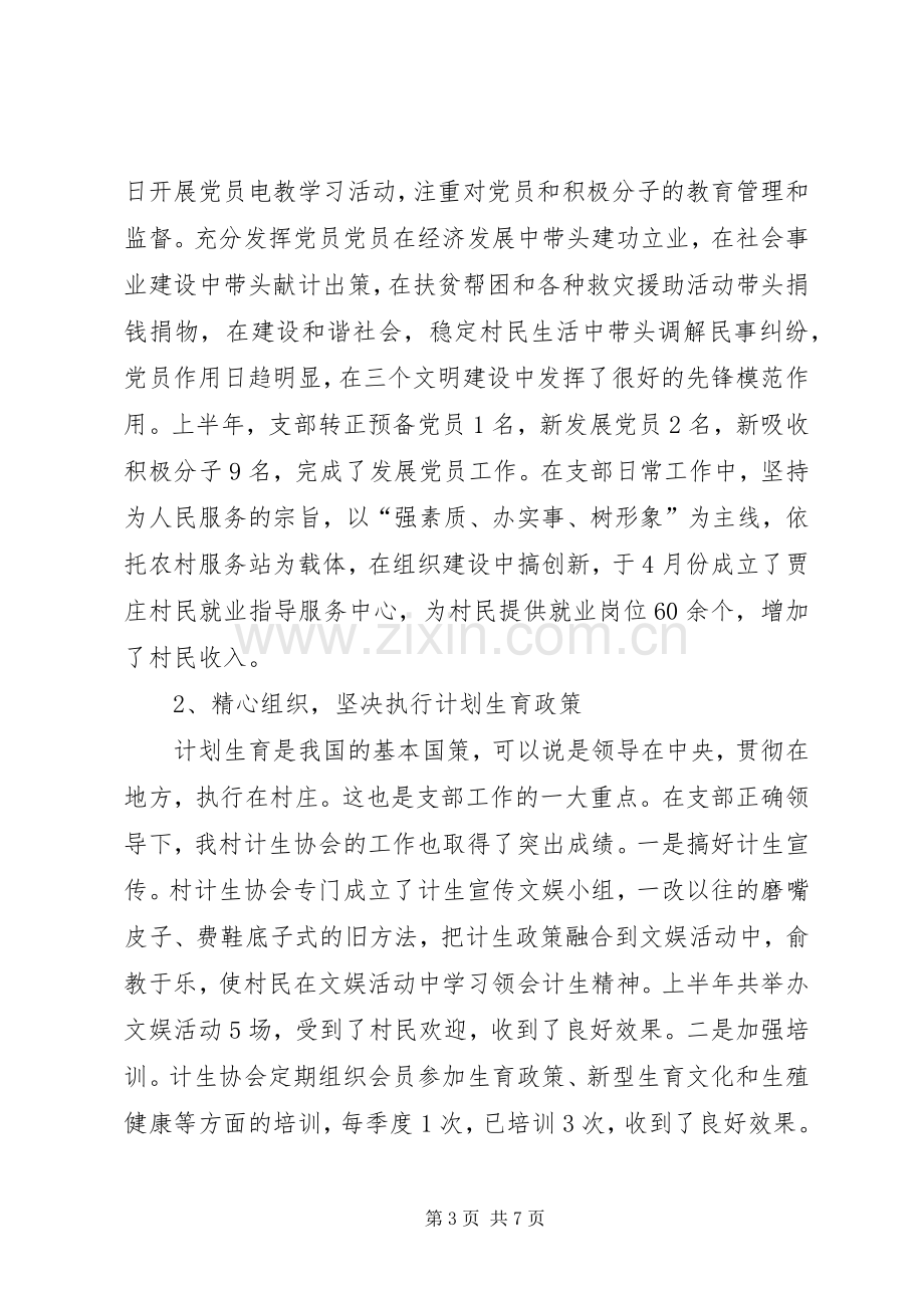 农村党支部书记年度述职述廉报告.docx_第3页