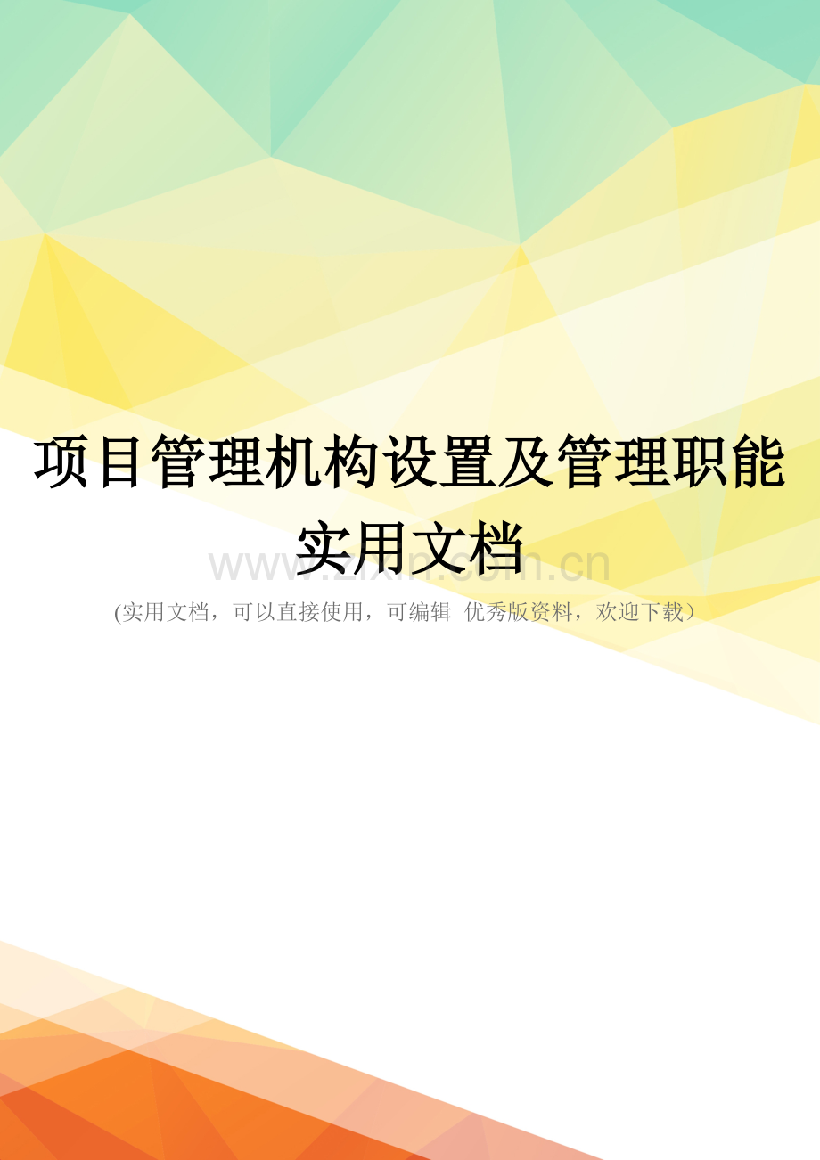 项目管理机构设置及管理职能实用文档.doc_第1页