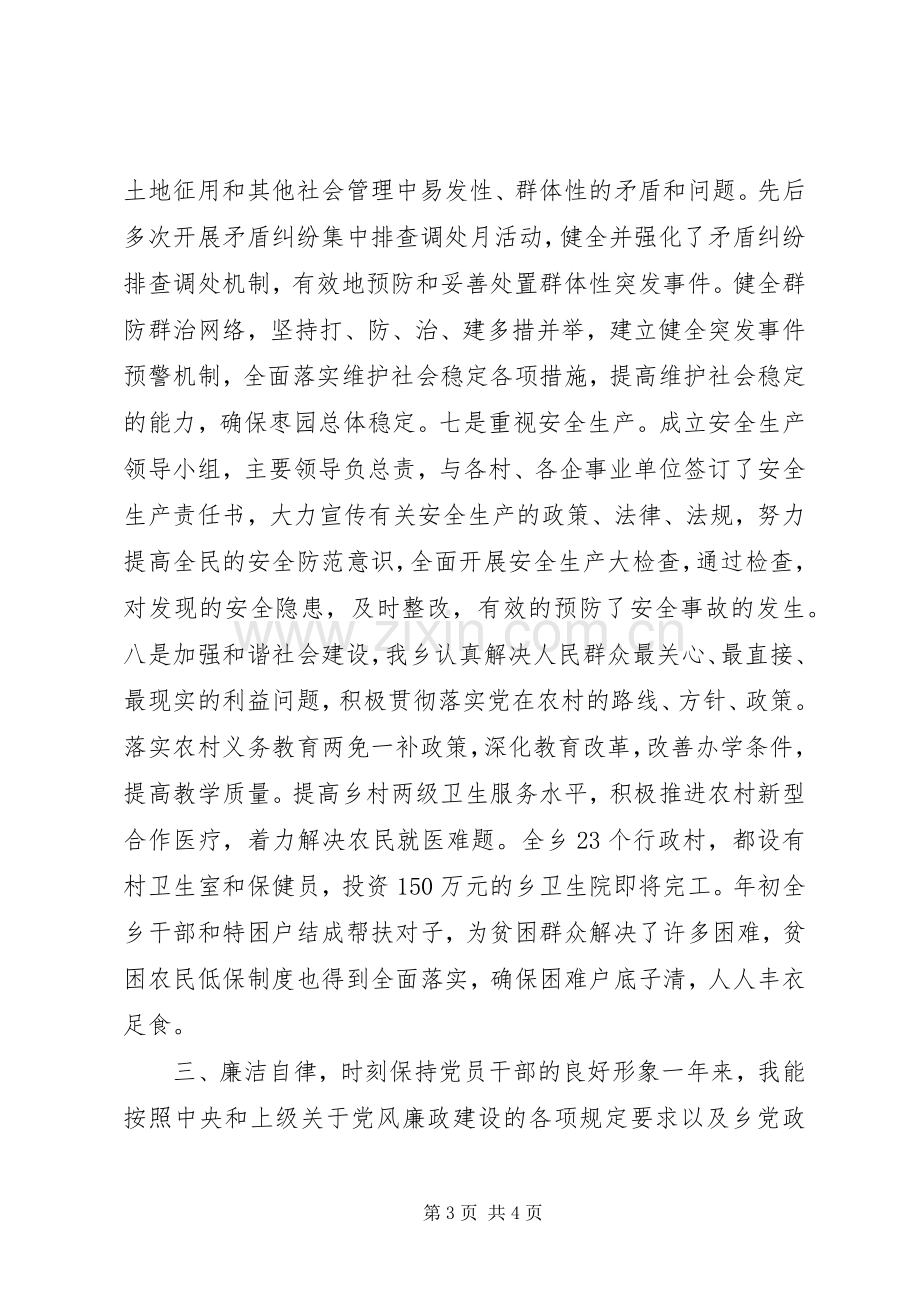 乡长述职述廉报告.docx_第3页