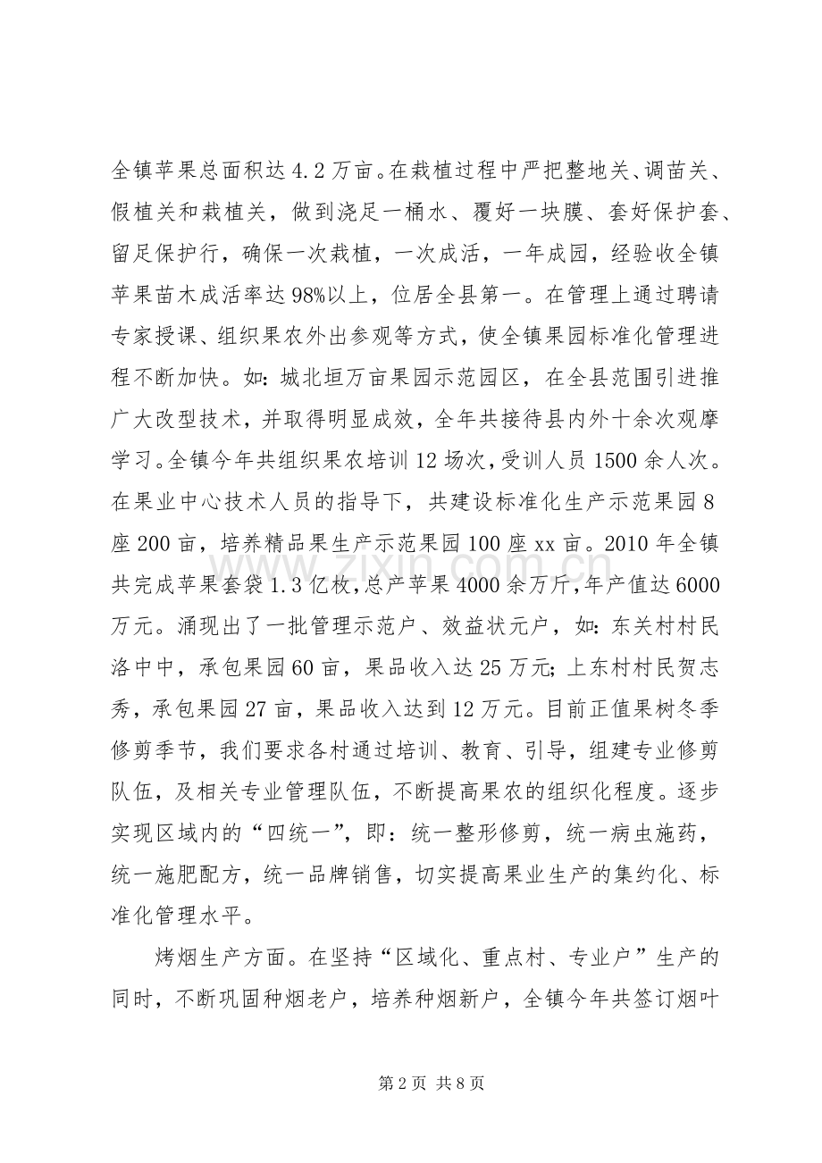 乡镇镇长述职报告-人大代表述职报告范文.docx_第2页