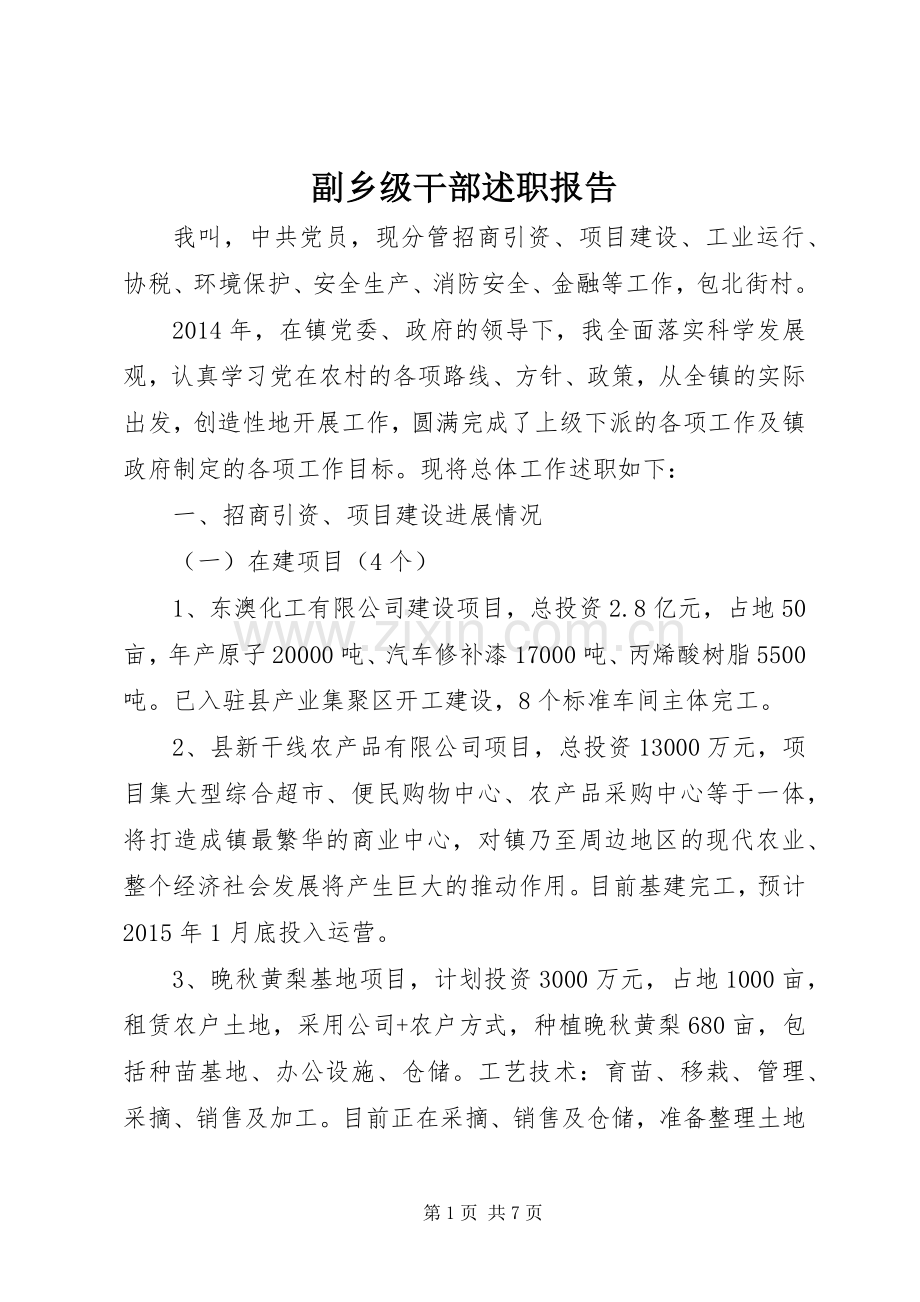 副乡级干部述职报告.docx_第1页