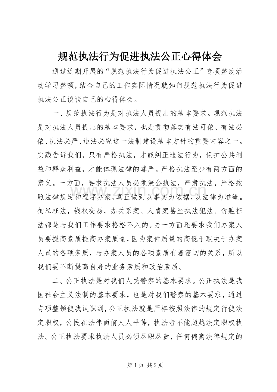 规范执法行为促进执法公正心得体会.docx_第1页