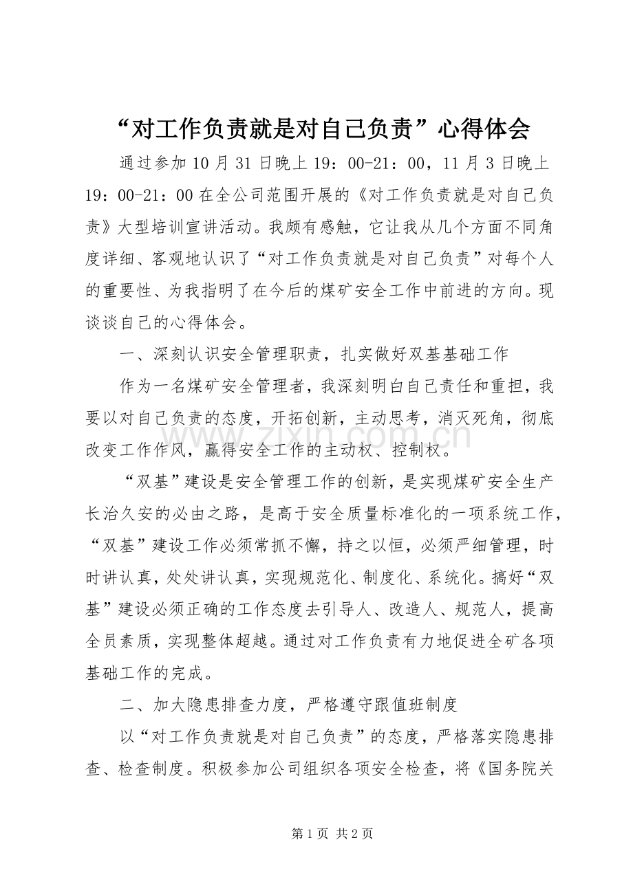 “对工作负责就是对自己负责”心得体会.docx_第1页