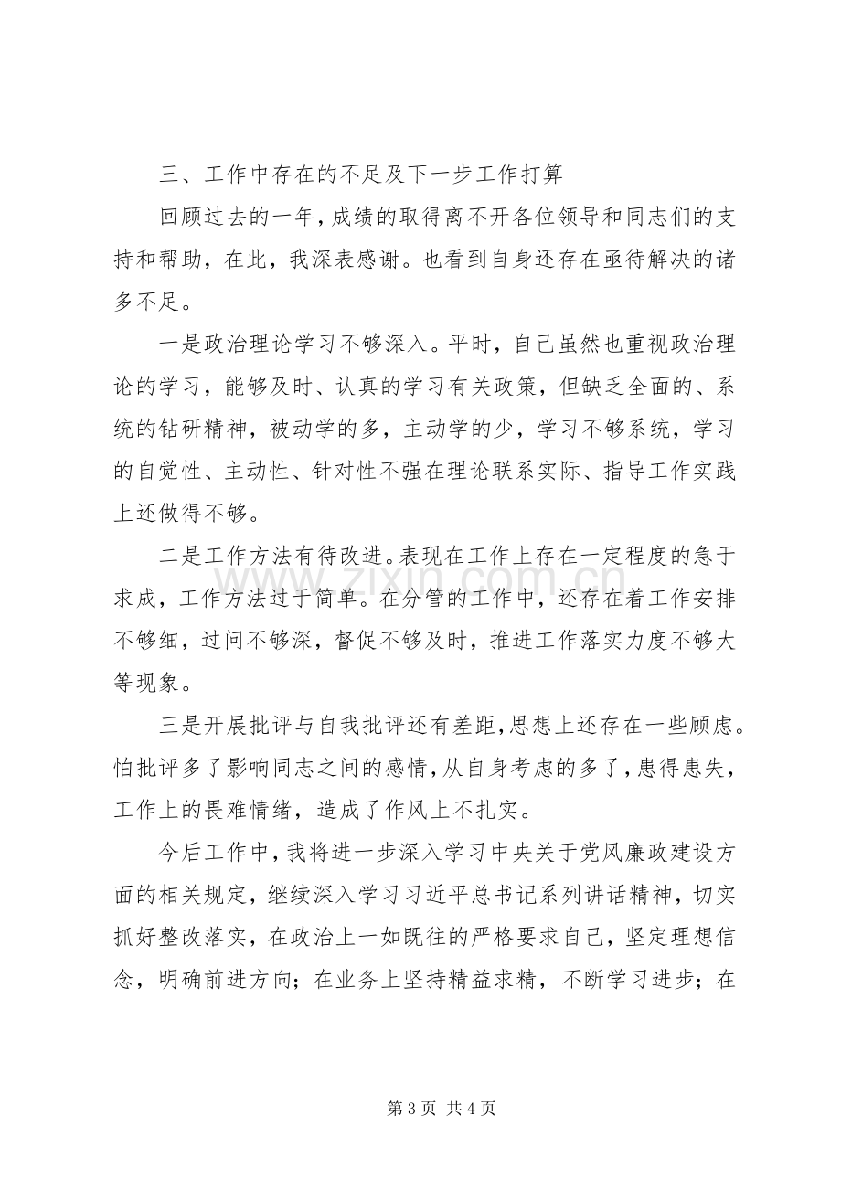 稽查个人述职述廉报告.docx_第3页