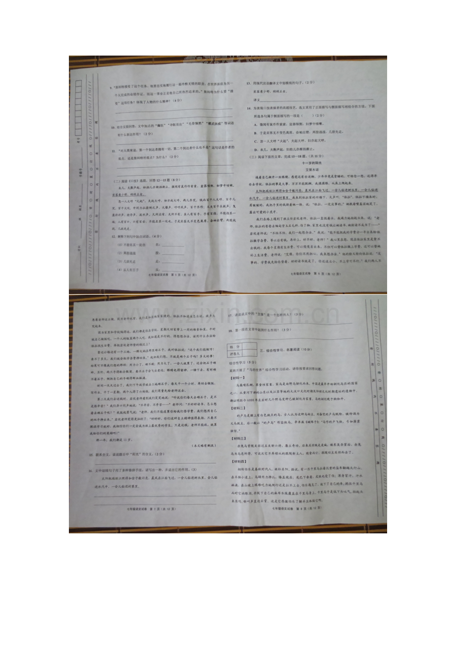 天津市五区县2012-2013学年七年级语文下学期期末考试试题(扫描版)-新人教版.doc_第2页