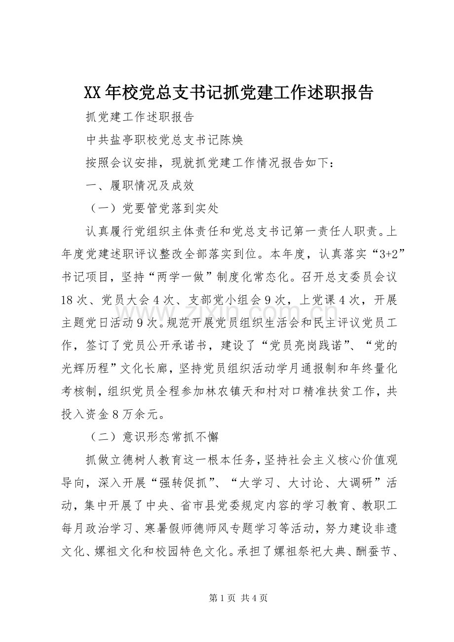 XX年校党总支书记抓党建工作述职报告.docx_第1页