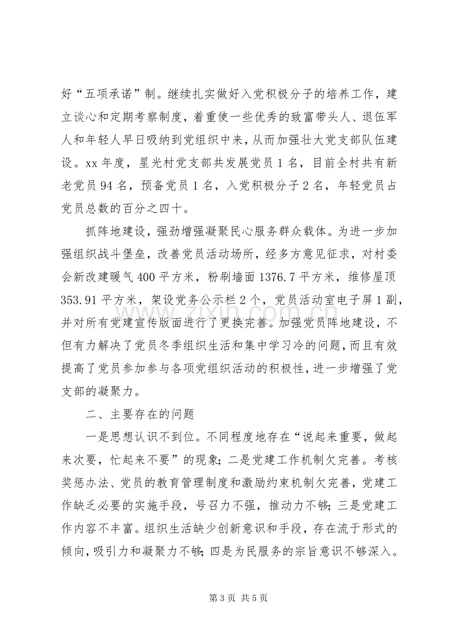 XX年村支部书记抓党建工作述职报告.docx_第3页