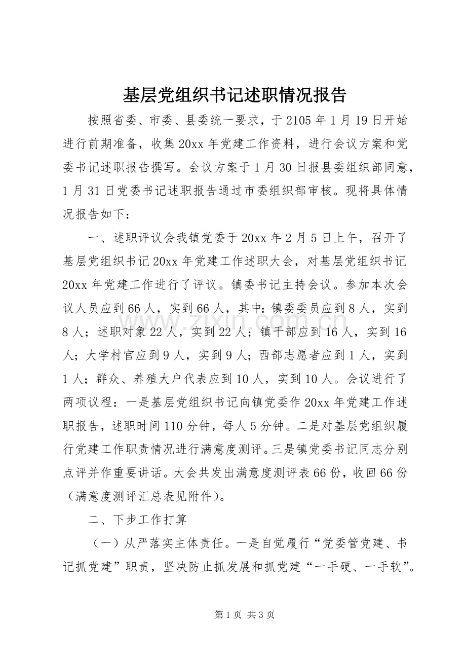 基层党组织书记述职情况报告.docx_第1页