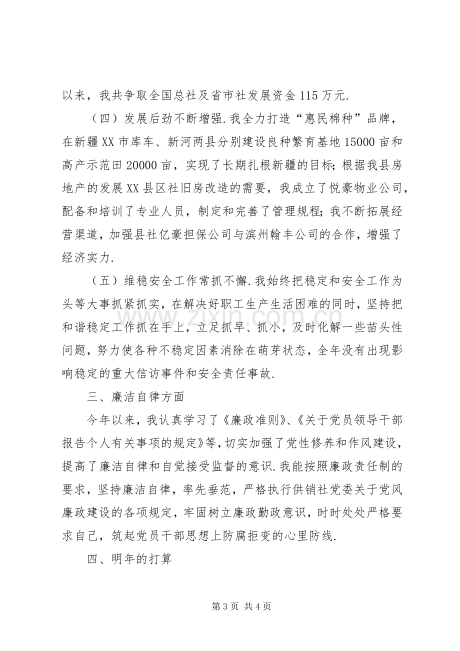 [基层干部XX年个人述职述廉报告]基层个人述职述廉报告.docx_第3页