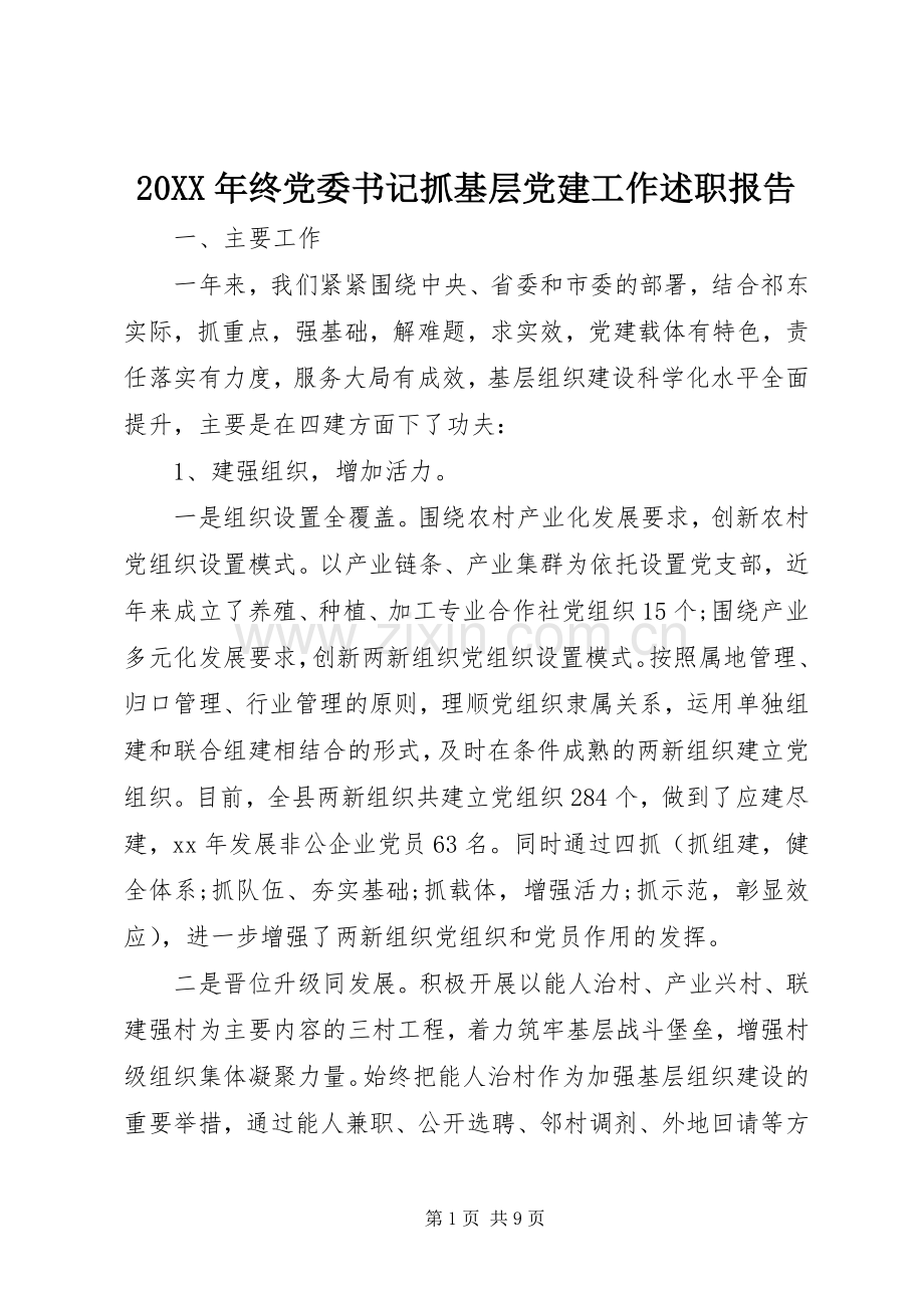 20XX年终党委书记抓基层党建工作述职报告.docx_第1页