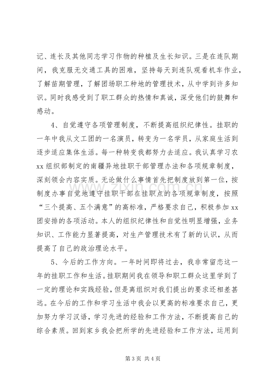 挂职工作述职报告.docx_第3页